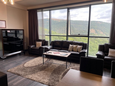 Standard - Apartment - Tsaghkadzor/Antarain 1 dist.